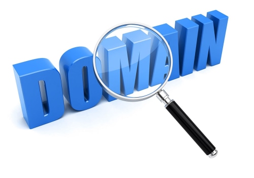 Domain Authority Audit